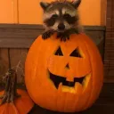 Rac lair🦝🎃👻 Discord server icon