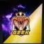 Geek squad