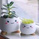 WisePot^