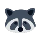 ProcyonCoon Coin
