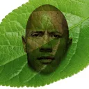 𝐀𝐌𝐏𝐇𝐈𝐓𝐇𝐄𝐀𝐓𝐑𝐔𝐌