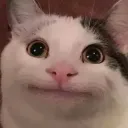 ✅ BeluGANG2