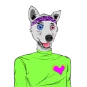 Odd Eyed Dog
