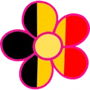 Fleurs de Belgique 🍟🌸