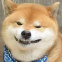 不霁何虹888