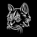 HYPECAT UNIVERSE