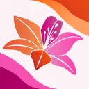 LILY REVOLUTION 🌸