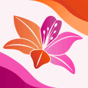 LILY REVOLUTION 🌸