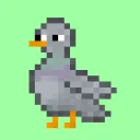 Perky Pigeons