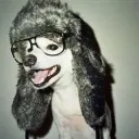 Failed Abortions [hangout | so... Discord Server Icon