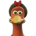 cute joly chikin
