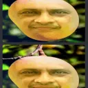 Lucky Landing Discord Server Icon