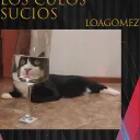 Los culos sucios