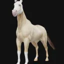 JPS EQUINE consulting