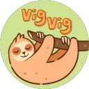 VigVig's Professional Twitch Stream Server