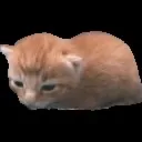 oiterz