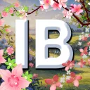 Imaginary Book | IB