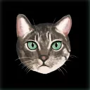 The Meow NFT Café