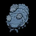 Pod Nation