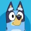 Bluey’s Playground