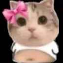 IDM NSFW (real)