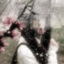 𓏵𓏵。𝕡ilk͟ 𓏼 䈢