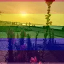 Chandigarh LGBTQ's server