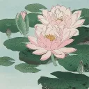 🪷┆Puparia Discord Server Icon