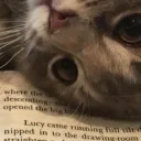 Waifu Town Discord Server Icon