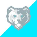 Team Polar Discord Server Icon