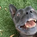 Gg Discord server icon