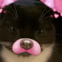 a group with bunch of monkeys (oo oo a a) Discord server icon