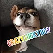 Crazy Lucky Boy's Server