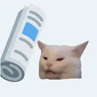 котики <3 — monitoring serwera Discord, statystyki i ranking