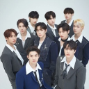 K-Kingdom