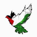 Palestine - فلسطين Discord Server Icon