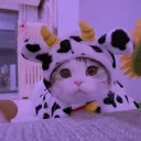 ♥ ᴛᴇᴀ ᴄᴀᴛᴛʟᴇ ♥