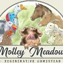 Motley Meadows