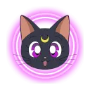 Luna Cat