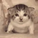 冰淇淋