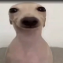 Chris' Dubious Discord