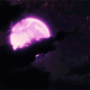 Moonlight's haven ✨ Discord server icon