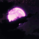 Moonlight's haven ✨ Discord server icon