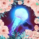 Nortex25 Discord Server Icon