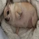 𖤐˚₊﹕⸝⸝:﹔𝙬𝙤𝙧𝙙𝙨 words-﹗₊⊹o Discord Server Icon