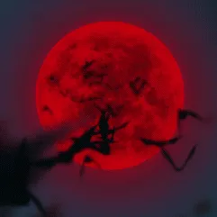 ✨𝑀𝑜𝑜𝓃 𝑀𝒾𝓈𝓉🌙 — мониторинг Discord сервера, статистика и рейтинг