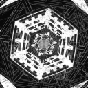 Liberi Stellae Vitrium Discord server icon