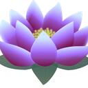 The Lotus Discord Server Icon