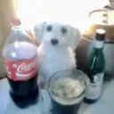 bar do baiano
