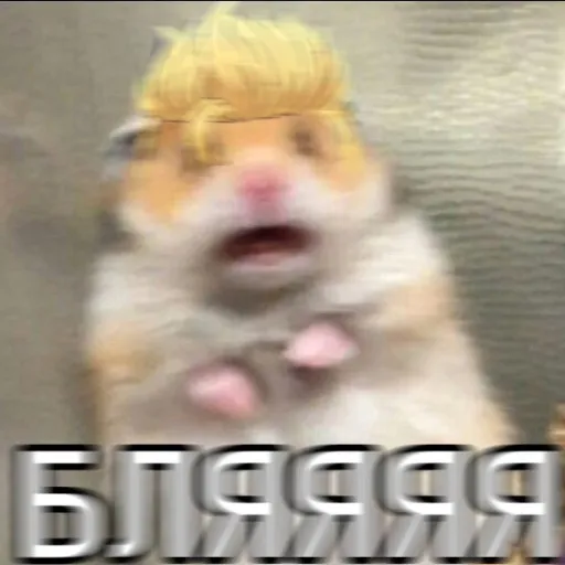 💎 | Discord | Haus | 💎 — мониторинг Discord сервера, статистика и рейтинг